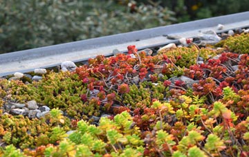 the cost of Northlands green roof installation
