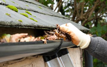 gutter cleaning Northlands, Lincolnshire