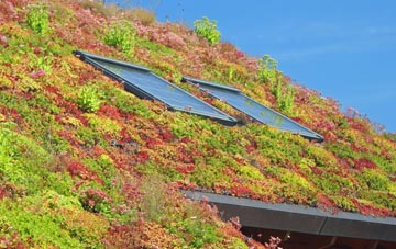 Northlands living roof systems