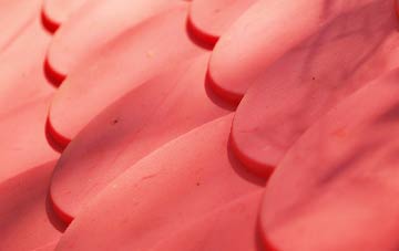 Northlands plastic roof costs