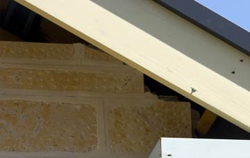 soffit repair Northlands