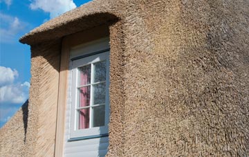 Northlands thatch roof disadvantages